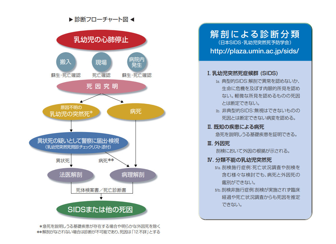 SIDS診断フロー