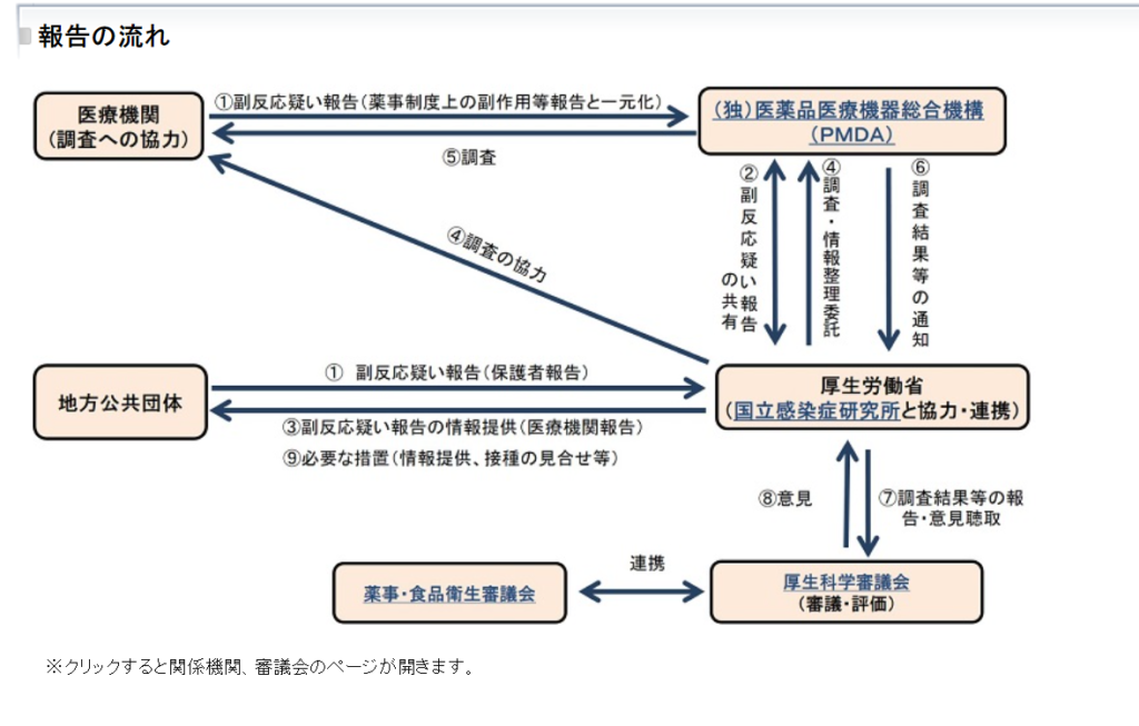 報告の流れ