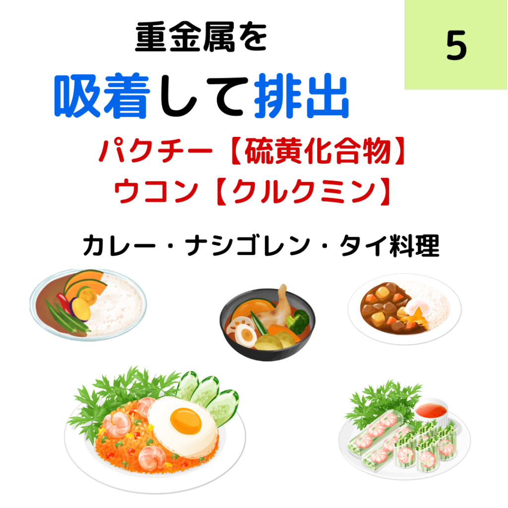 005_重金属吸着排出：パクチー・ウコン カレー・ナシゴレン・タイ料理